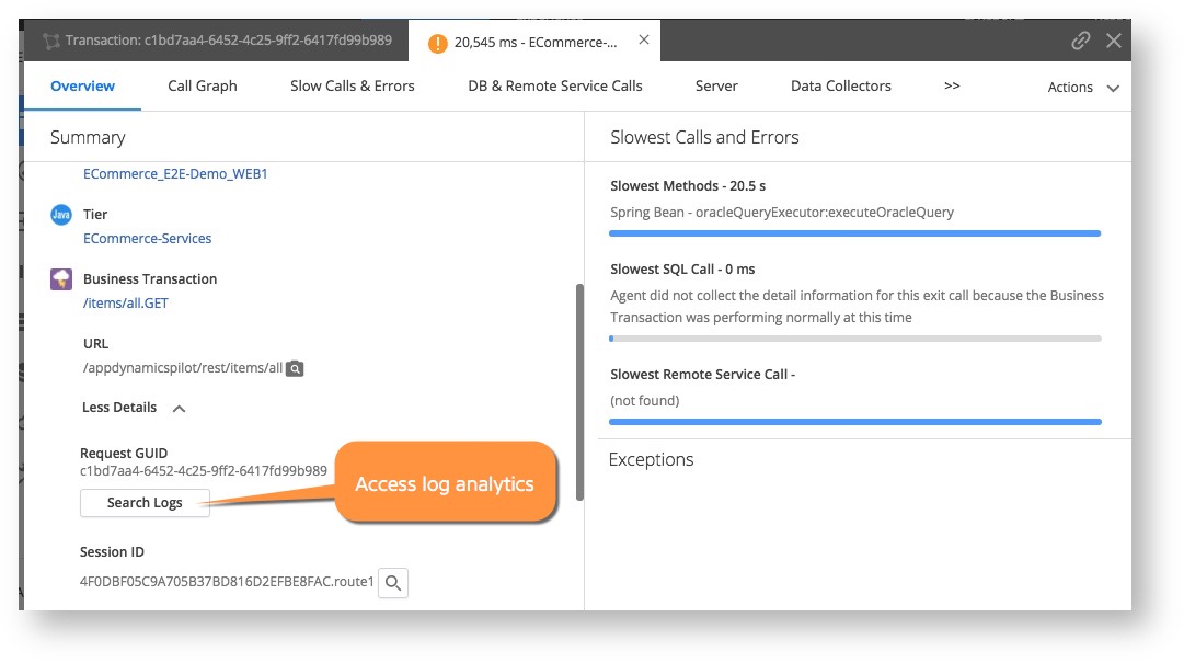 Access Log Analytics