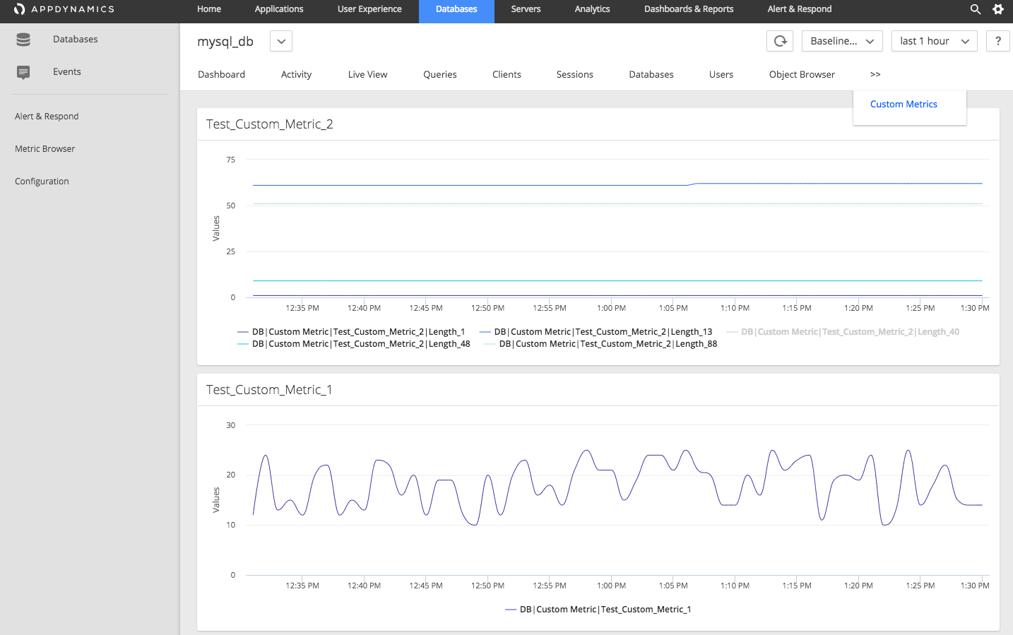Databases Custom Metrics