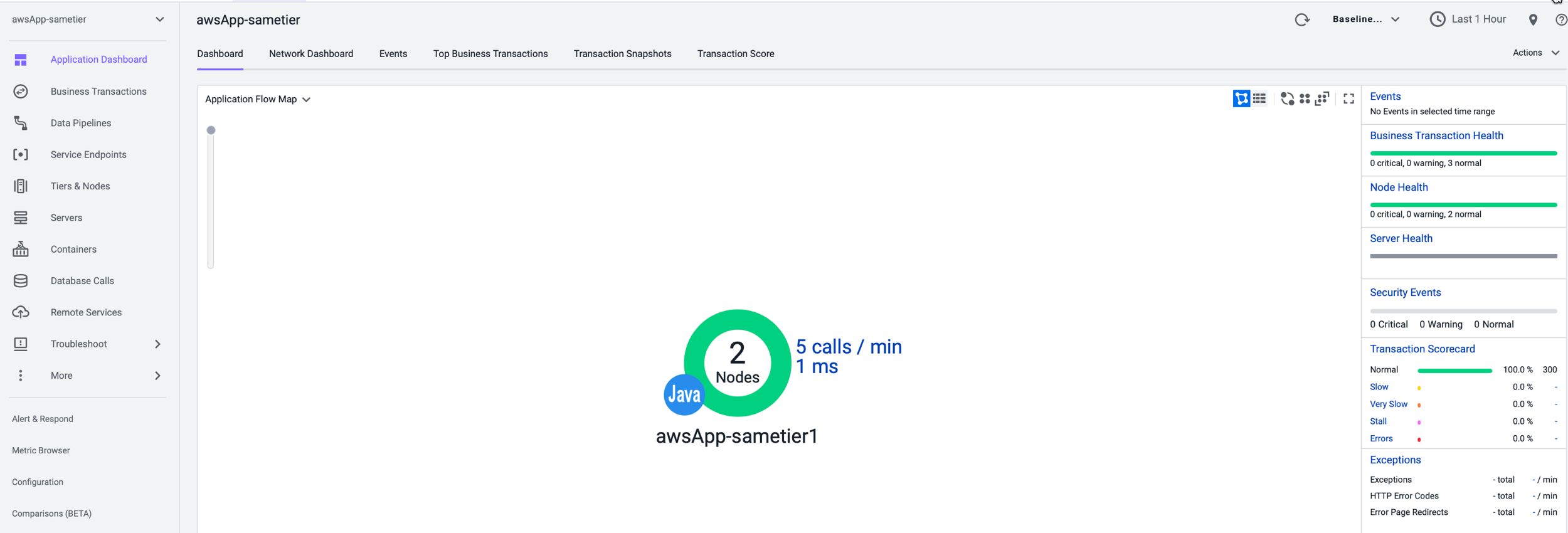 AppDynamics Dashboard