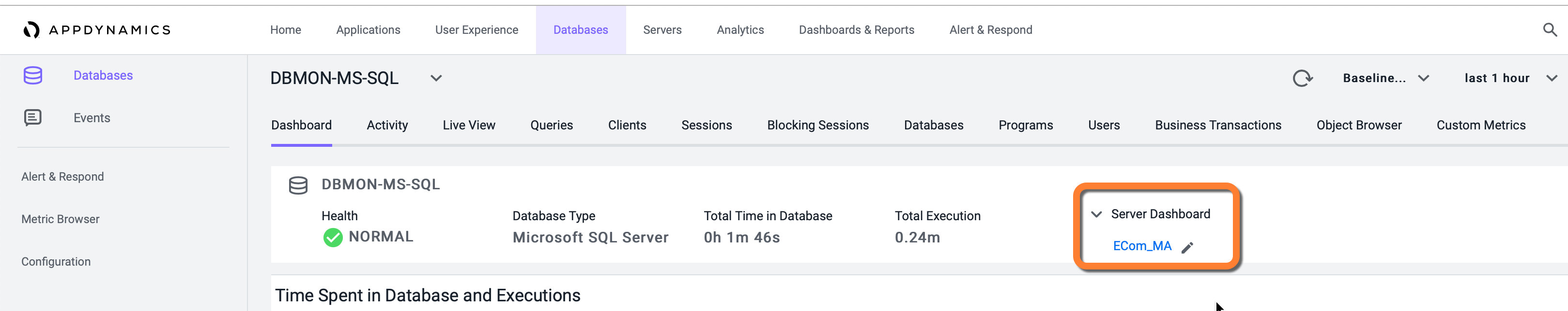 Server Dashboard