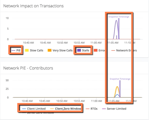 Network view