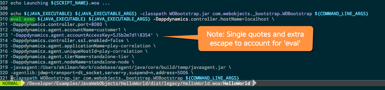 Add Java Agent Arguments