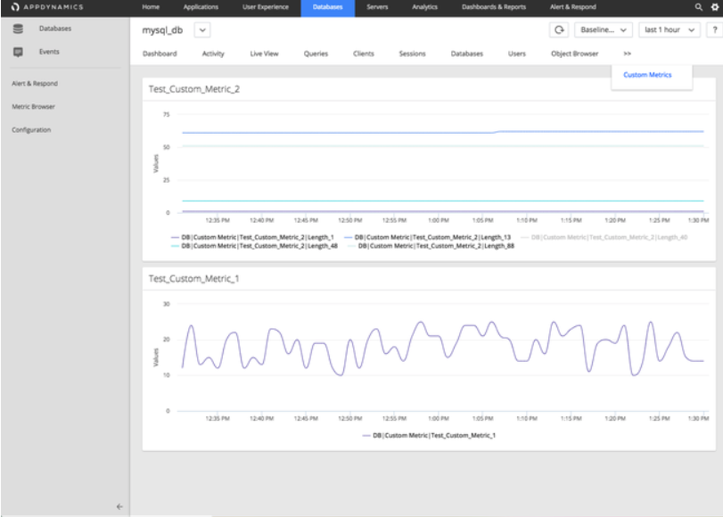 Database Custom Metrics