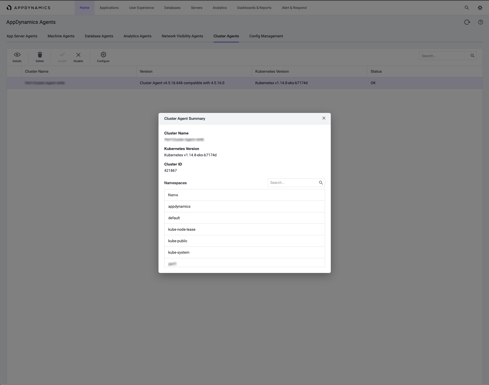 Cluster Agents Summary