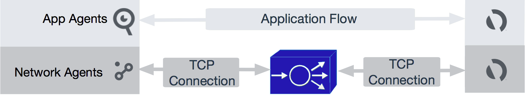 Agent-based Network Visibility Approach